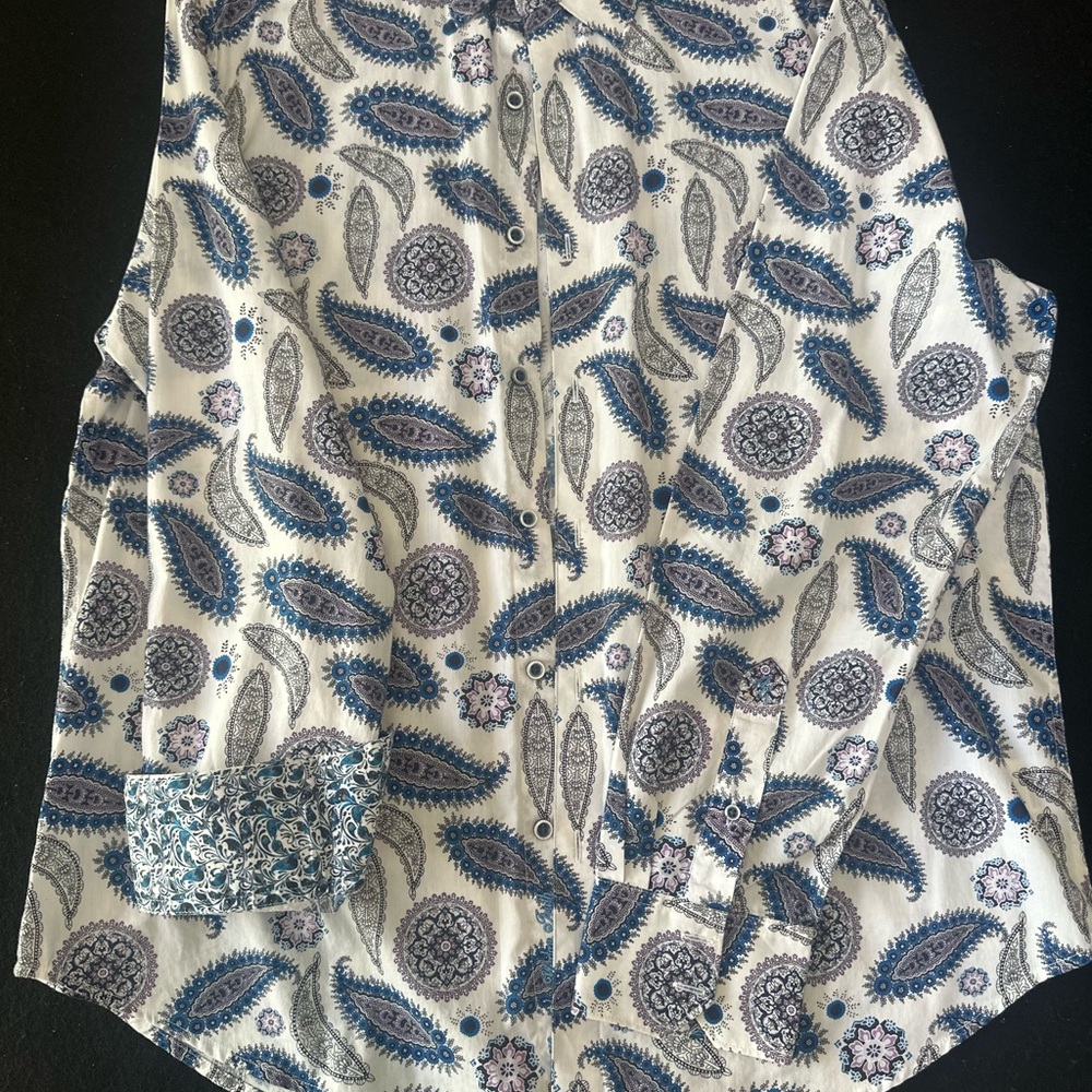 Mens XL Robert Graham button down shirt